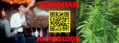 прущие грибы Моздок