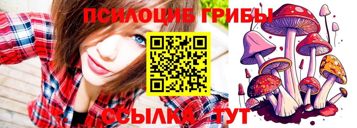 Псилоцибиновые грибы мицелий Южно-Сахалинск